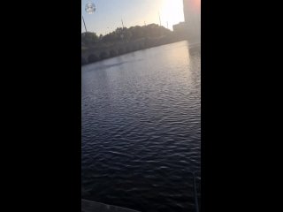 took a member right in the throat | deepthroat porn | throat blowjob porn [oc] hangs out in the harbor practicing holding her breath